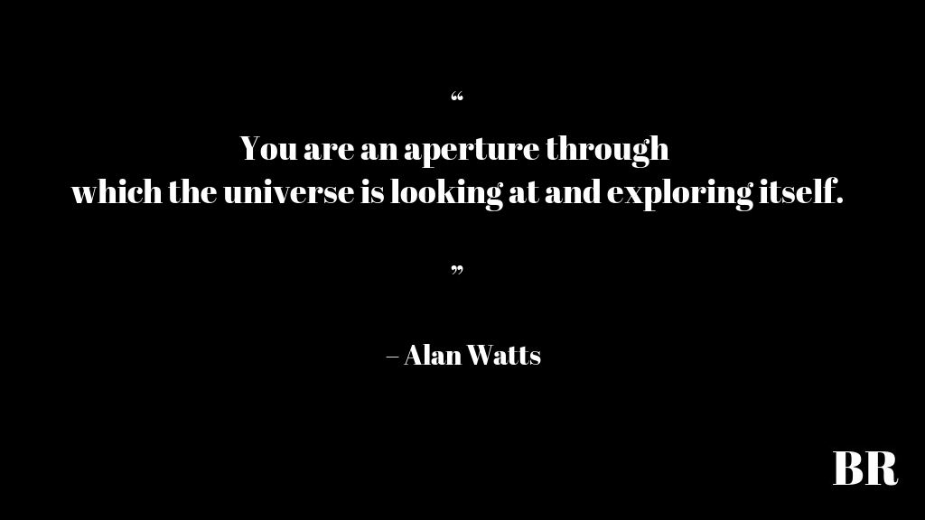 Alan Watts Quotes