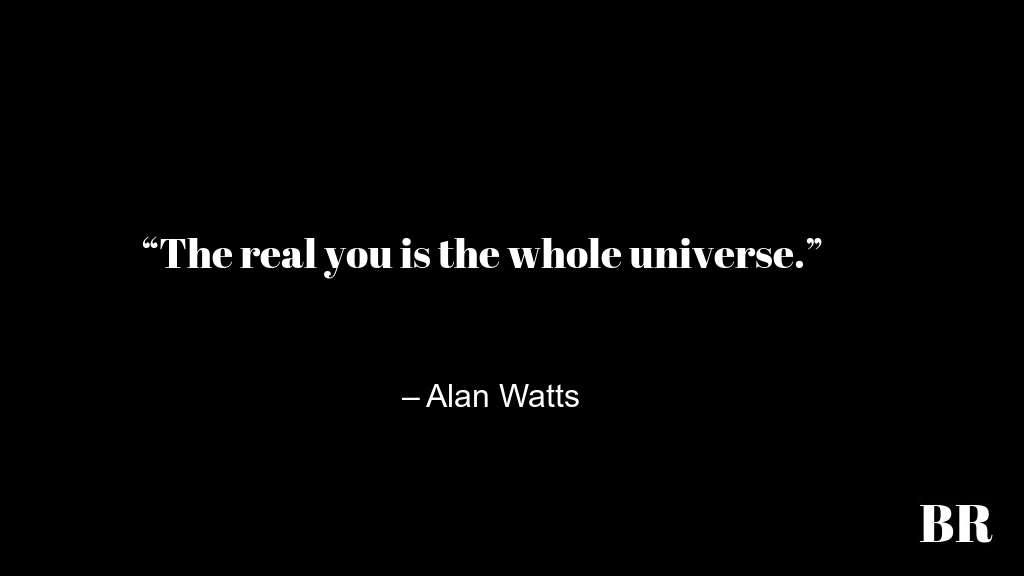 Alan Watts Quotes