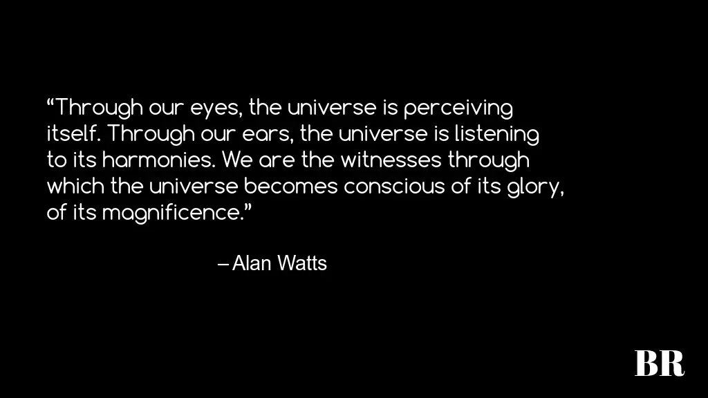 Alan Watts Quotes