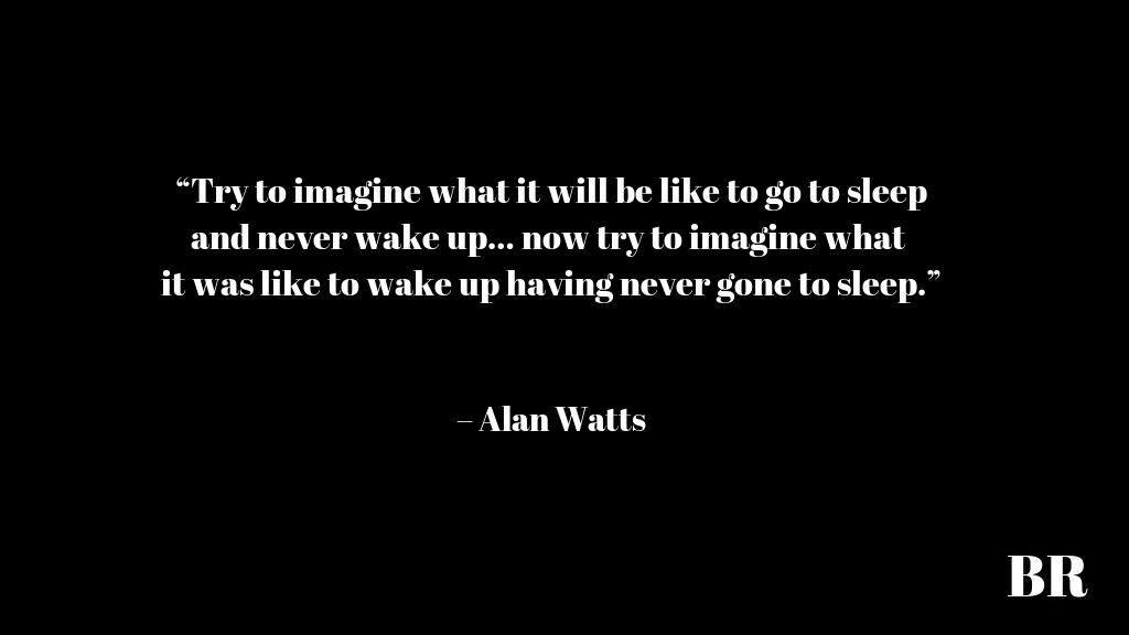 Alan Watts Quotes