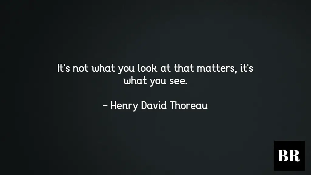 Henry David Thoreau Quotes