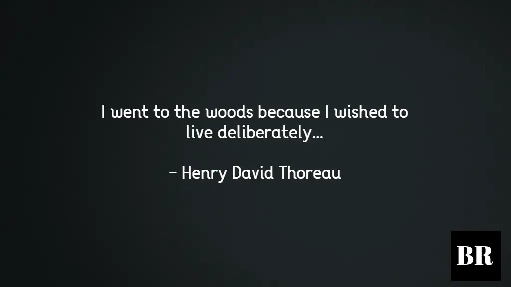 Henry David Thoreau Quotes