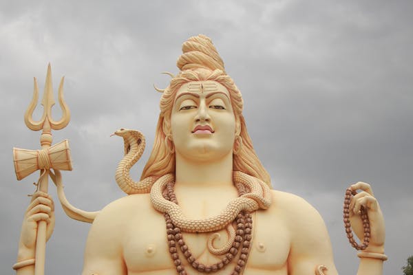 Shivji Quotes