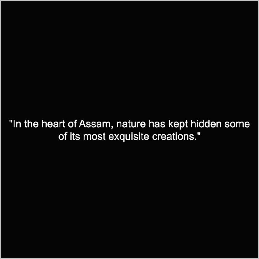 Niribili assam quotes