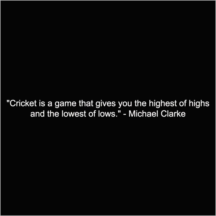 cricket takes away my stress quotes