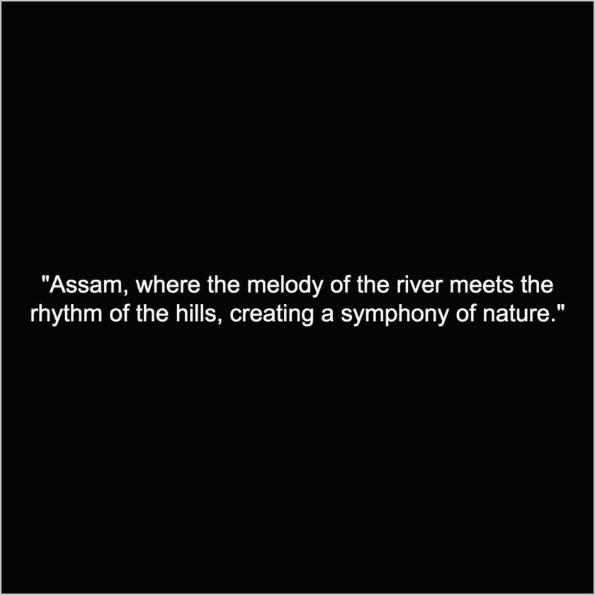 niribili assam quotes travel nature