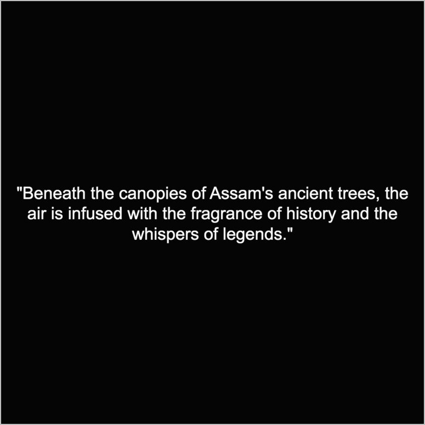 Niribili assam quote